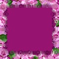 frame of small pink flowers on purple magenta background, background with geometric magenta flowers, outline of small flowers Royalty Free Stock Photo