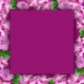 frame of small pink flowers on purple magenta background, background with geometric magenta flowers, outline of small flowers Royalty Free Stock Photo