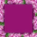 frame of small pink flowers on purple magenta background, background with geometric magenta flowers, outline of small flowers Royalty Free Stock Photo