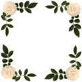 Frame of sprigs tea-rose