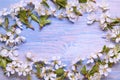 Frame of Spring Flowers on the background of old vintage blue bo Royalty Free Stock Photo