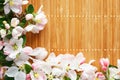 Frame of spring flowers of sakura on bamboo background. Beautiful cherry blossom sakura in springtime Royalty Free Stock Photo