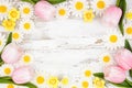 Frame of springtime flower decorations over a rustic white wood background Royalty Free Stock Photo