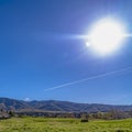 Frame Square Houses on a lush grassy field under the blazing sun and vivid blue sky