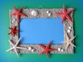 Frame with starfishes