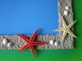 Frame with starfishes