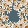 White daisies frame isolated on gray green background Limited color palette Vintage style pattern Royalty Free Stock Photo