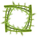 Frame template with bamboo tree Royalty Free Stock Photo