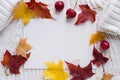 Frame for text, autumn maple leaves