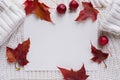 Frame for text, autumn maple leaves