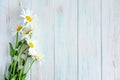 Frame for text with daisies. Daisies on a light wooden background. Design basis for greeting card. Floral banner, background. View