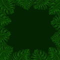 Frame for text with a dark green background and green exotic leaves monsteras hanging from all sides