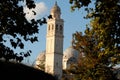 Frame of tree branches to the bell tower and the domes of Santa Giustina in Padua in Veneto (Italy)