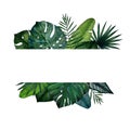 Frame with tropical leaves; monstera, palm, banana, saw palmetto, calathea. Watercolor illustration isolated