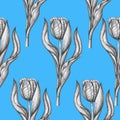 Frame Tulips pattern isolated blue background