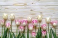 Frame of tulips on rustic wooden background with copy space for greetings card Royalty Free Stock Photo