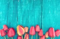 Frame of tulips on turquoise rustic wooden background. Spring fl Royalty Free Stock Photo