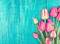 Frame of tulips on turquoise rustic wooden background. Spring fl Royalty Free Stock Photo