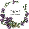 Frame with twig of thyme with leaves and flowers .