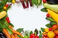 Frame of various vegetarian ingredients ready for cooking on the white table. Organic healthy food: colorful vegetables, herbs Royalty Free Stock Photo