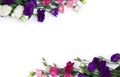 Frame of violet, white, pink flowers Eustoma  Texas bluebells, bluebell, lisianthus, prairie gentian  on a white background Royalty Free Stock Photo
