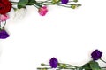 Frame of violet, white, pink and red flowers Eustoma  Texas bluebells, bluebell, lisianthus, prairie gentian  and red rose Royalty Free Stock Photo