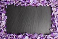 Frame from violet wisteria flowers on black slate background