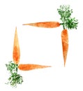 Frame of watercolor carrot isolated on white