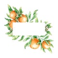 Frame with watercolor orange branches and flowers. Hand drawn illustration is isolated on white. Floral border Royalty Free Stock Photo