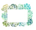 Frame of watercolor succulents with a top view on a white background.