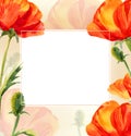 Frame on watercolour background with red summer flowers and leaves, watercolour poppy
