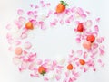 A frame on white background with pink rose petals, sugar stars, Royalty Free Stock Photo