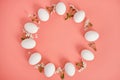 A frame of white flowers and white eggs on a pink background. Copy space, top view. Easter background.