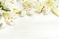 Frame of white lilies on a white wooden background top view. Flowers lily beautiful bouquet white flowers