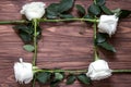 Frame of white long roses on the wooden surface. Original idea of organic gift