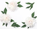 Frame of white peony flowers and leaves isolated on white background. Flat lay.
