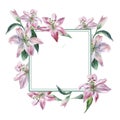 Frame with white and pink watercolor lilys Royalty Free Stock Photo