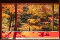 Frame between wooden pavilion and beautiful Maple tree in Japanese Garden and red carpet at Enkoji temple, Kyoto, Japan. Landmark Royalty Free Stock Photo