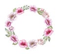 Frame, wreath, ring, of pink flowers, roses floral frame, vignette isolated on white background. Bouquet of flower composition Royalty Free Stock Photo