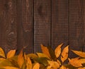 Frame From Yellow Autumn Leaves With Copy Space For Text On Rustic Wooden Background. Thanksgiving Day Backdrop. Fall Concept.