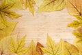Frame of yellow autumn leaves on a wooden background. Autumn greeting card with leaves. Empty space for text. Royalty Free Stock Photo