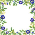 Frame with yellow and blue flowers. Butterfly pea flowers. Tropical plant, Ipomoea, clitoria ternatea, bluebellvine. Watercolor