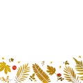 Frame from yellow leaves and dry leaves and flower on white background Royalty Free Stock Photo