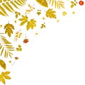 Frame from yellow leaves and dry leaves and flower on white background Royalty Free Stock Photo