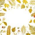 Frame from yellow leaves and dry leaves and flower on white background Royalty Free Stock Photo