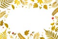 Frame from yellow leaves and dry leaves and flower on white background Royalty Free Stock Photo