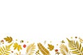 Frame from yellow leaves and dry leaves and flower on white background Royalty Free Stock Photo