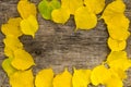 Frame of yellow leaves on rustic wooden background Royalty Free Stock Photo