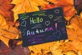 A frame of yellow and orange autumn maple leaves on gray dark concrete. Black plate with colored text. The inscription is hello au Royalty Free Stock Photo