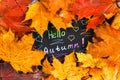 A frame of yellow and orange autumn maple leaves on gray dark concrete. Black plate with colored text. The inscription is hello au Royalty Free Stock Photo